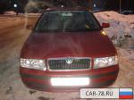 Skoda Octavia Санкт-Петербург