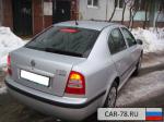 Skoda Octavia Tour Санкт-Петербург